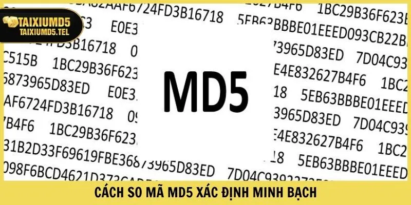 Cách so mã MD5 xác định minh bạch