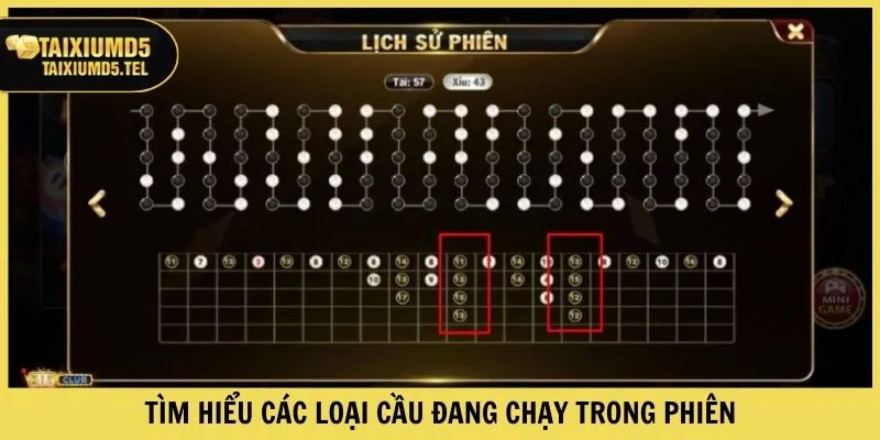 Tìm hiểu các loại cầu đang chạy trong phiên